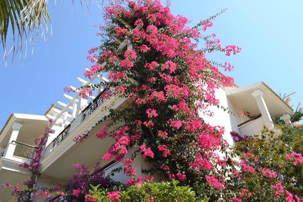 Delfino Blu Wellness Boutique Hotel Agios Stefanos Avliotes  Esterno foto